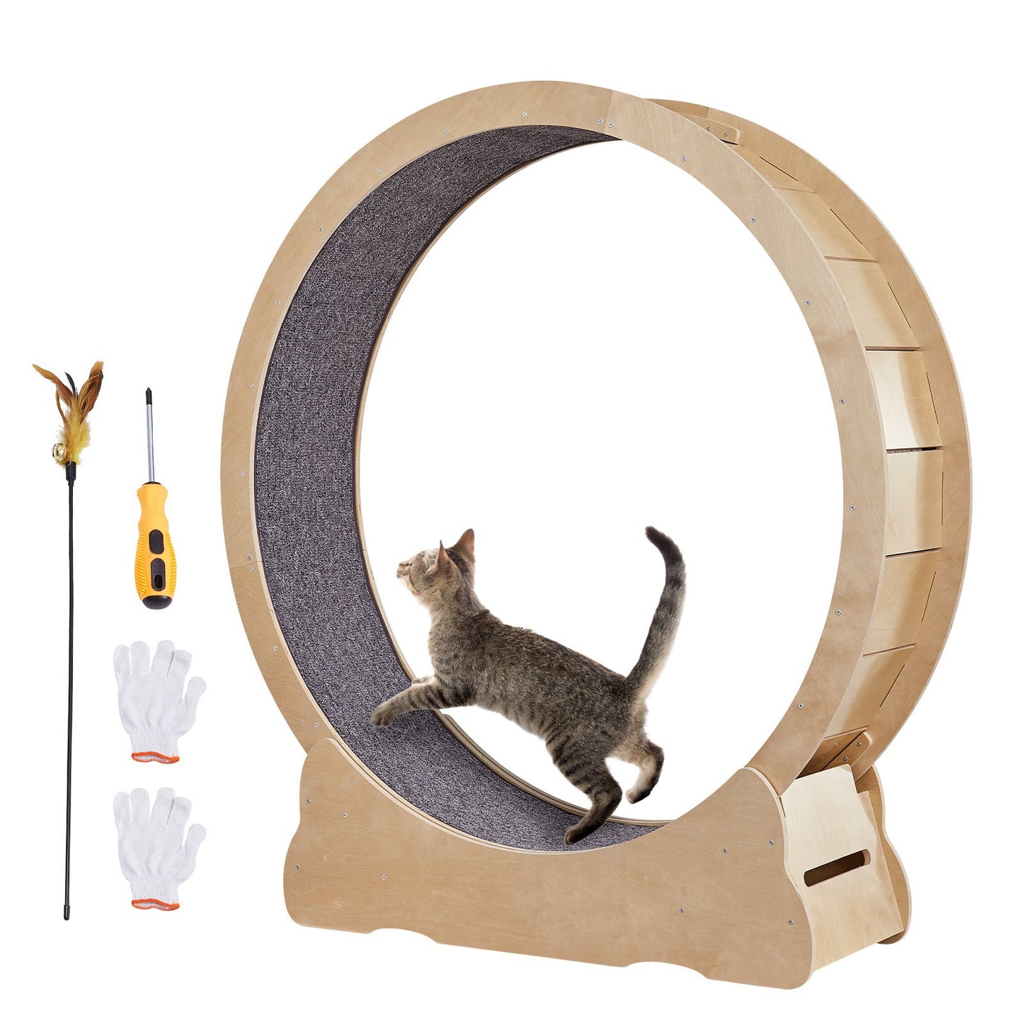 Motionshjul för katt
