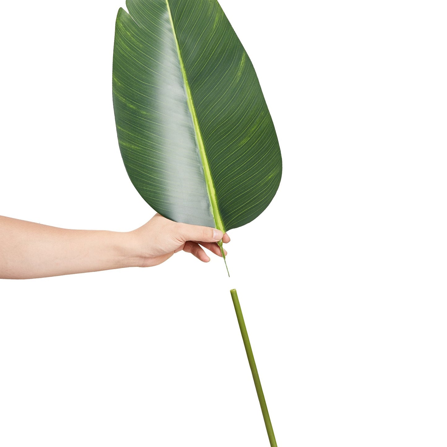 Konstgjord växt Palm Strelitzia - 1,5 m